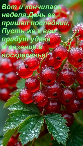 Открытка Вот и кончилась неделя, День ее пришел последний, Пусть же к вам придут удача И везение в воскресень
