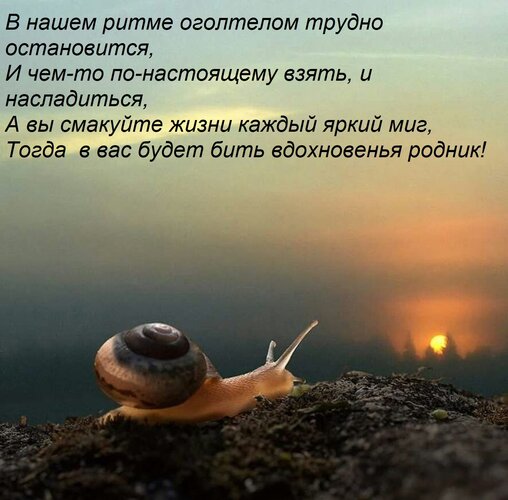 Открытка В нашем ритме оголтелом трудно остановится, И чем-то по-настоящему взять, и насладиться, А вы смакуй