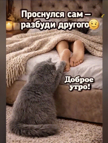 Анимированная открытка Проснулся сам - разбуди другого. Доброе утро!