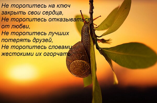 Открытка Не торопитесь на ключ закрыть свои сердца, Не торопитесь отказываться от любви, Не торопитесь лучших