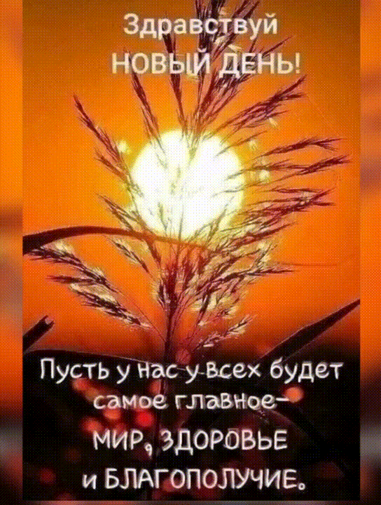 Анимированная открытка Здравствуй, новый день! Пусть у нас у всех будет самое главное - мир, здоровье и благополучие.