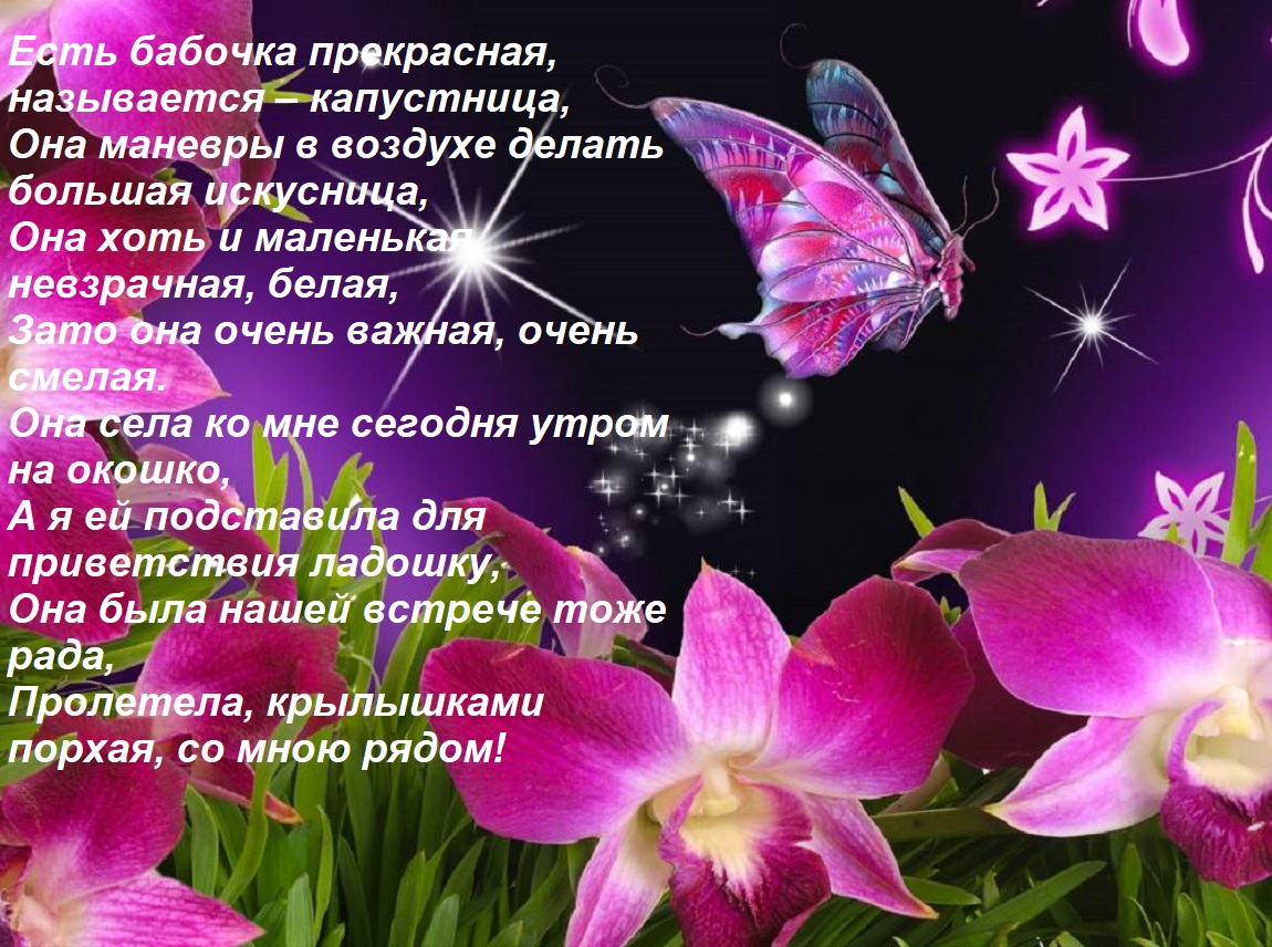 Открытка Есть бабочка прекрасная, называется – капустница, Она маневры в воздухе делать большая искусница, Он