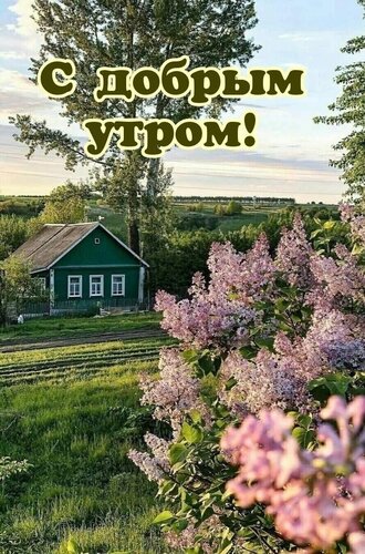 Открытка С добрым утром