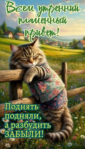 Открытка Доброе утро