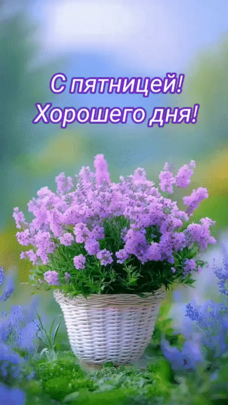 Анимированная открытка С пятницей! Хорошего дня!