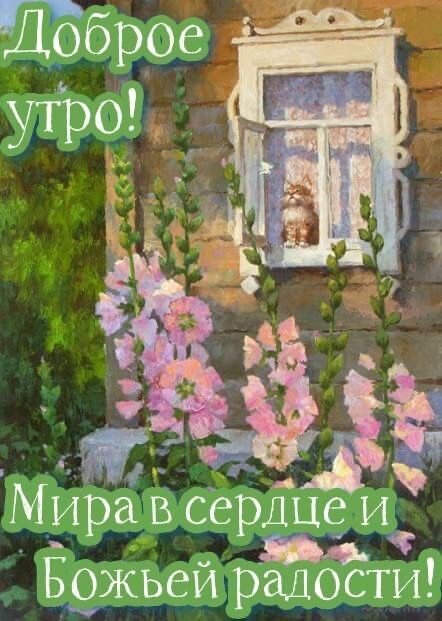 Открытка Доброе утро