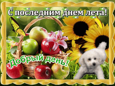 Анимированная открытка Доброго дня! С последним днем лета!