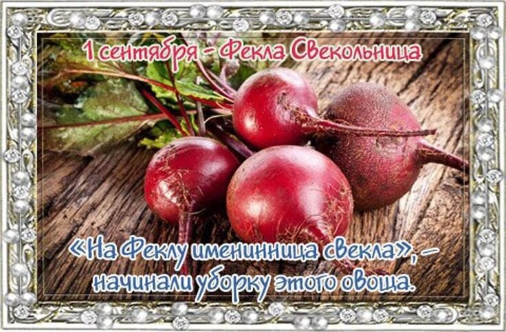 Открытка Фёкла свекольница