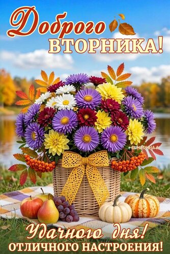 Открытка ДОБРОГО ВТОРНИКА! УДАЧНОГО ДНЯ! ОТЛИЧНОГО НАСТРОЕНИЯ!
