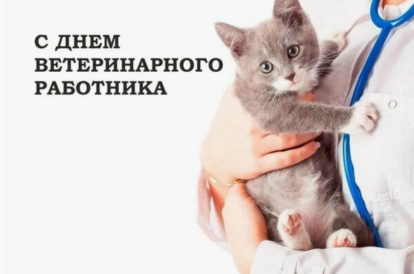 Открытка день ветеринарного работника