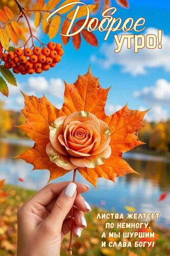 Открытка ДОБРОЕ УТРО! ЛИСТВА ЖЕЛТЕЕТ ПО НЕМНОГУ, А МЫ ШУРШИМ И СЛАВА БОГУ!
