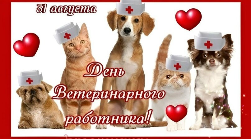 Открытка день ветеринарного работника