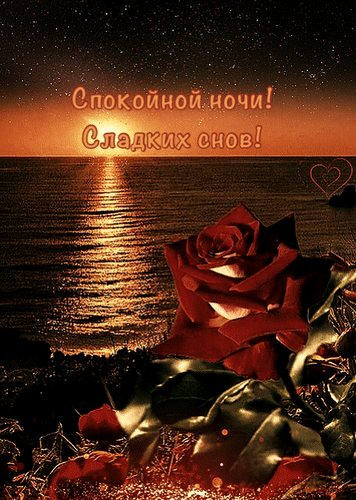 Анимированная открытка Спокойной ночи! Сладких снов!
