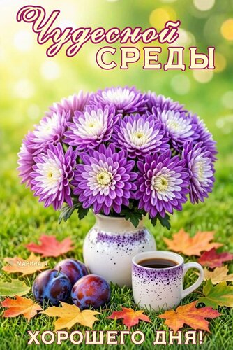 Открытка ЧУДЕСНОЙ СРЕДЫ! ХОРОШЕГО ДНЯ!