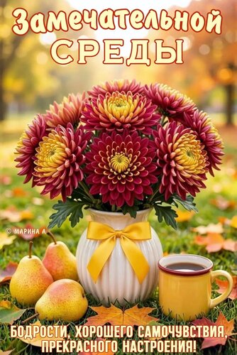 Открытка ЗАМЕЧАТЕЛЬНОЙ СРЕДЫ! БОДРОСТИ, ХОРОШЕГО САМОЧУВСТВИЯ, ПРЕКРАСНОГО НАСТРОЕНИЯ!