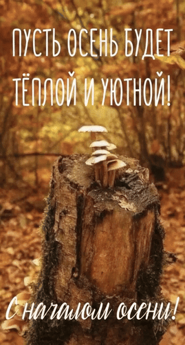 Анимированная открытка С началом осени! Пусть осень будет тёплой и уютной!