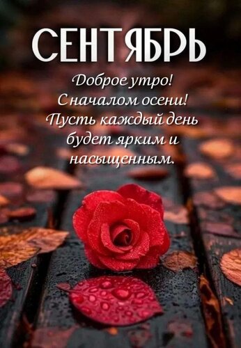 Открытка Доброе утро! С началом осени! Пусть каждый день будет ярким и насыщенным.