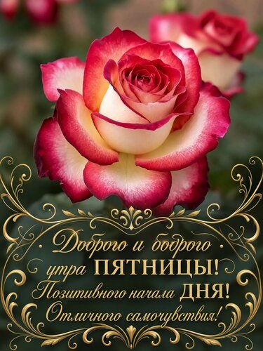 Открытка Доброго и бодрого утра пятницы
