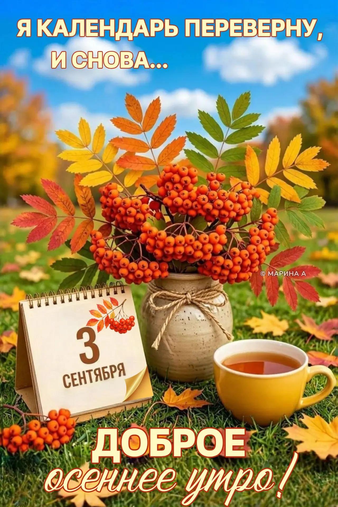 Открытка Я КАЛЕНДАРЬ ПЕРЕВЕРНУ, И СНОВА 3 СЕНТЯБРЯ. ДОБРОЕ ОСЕННЕЕ УТРО!
