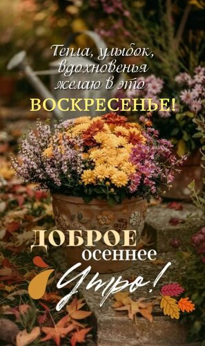 Открытка Тепла, улыбок, вдохновенья желаю в это воскресенье!