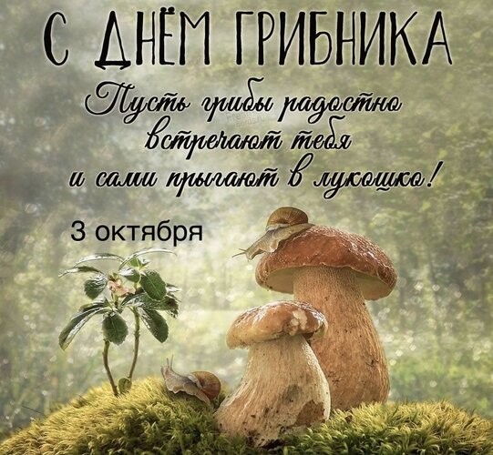 Открытка День грибника