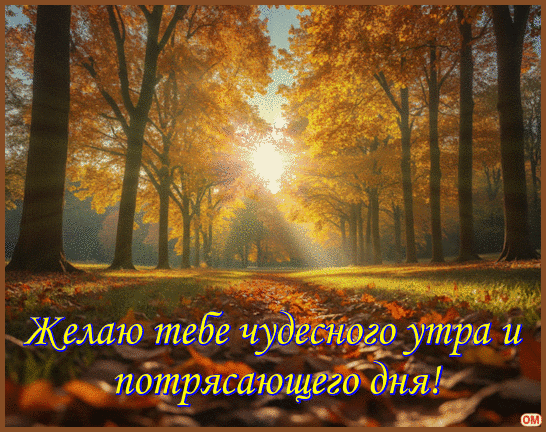 Анимированная открытка пожелания 6