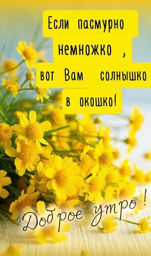 Открытка Если пасмурно немножко, вот вам солнышко в окошко. Доброе утро
