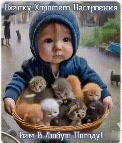 Анимированная открытка ХОРОШЕГО НАСТРОЕНИЯ!