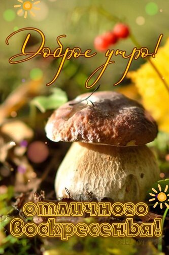 Открытка Доброе утро