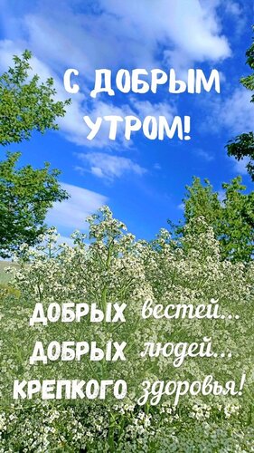 Открытка С добрым утром