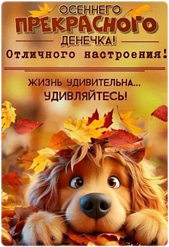 Открытка ОСЕННЕГО НАСТРОЕНИЯ!