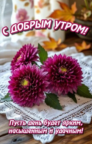 Открытка Пусть день будет ярким, насыщенным и удачным!