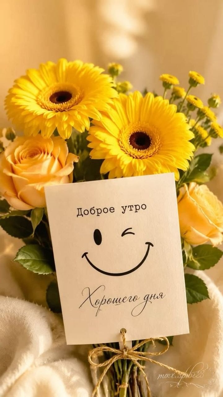Открытка Доброе утро хорошего дня