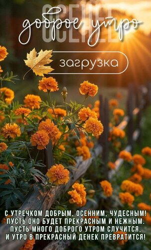 Открытка Доброе осеннее утро