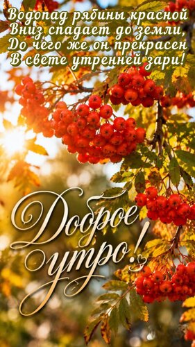 Открытка Доброе утро