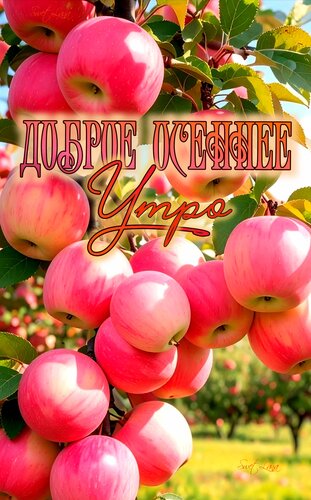 Открытка Доброе утро
