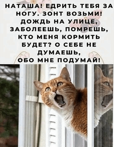 Анимированная открытка Наташа! Едрить тебя за ногу. Зонт возьми! Дождь на улице, заболеешь, помрешь, кто меня кормить будет