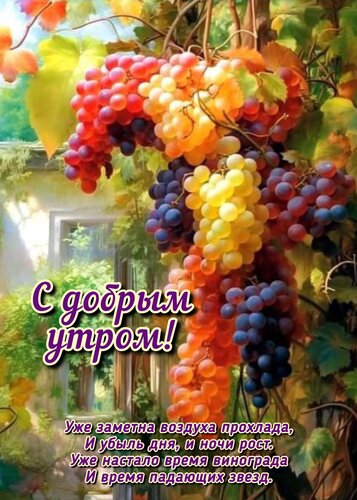 Открытка С добрым утром