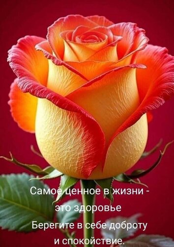 Открытка Самое ценное в жизни - это здоровье. Берегите в себе доброту и спокойствие
