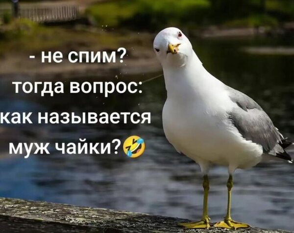 Открытка Спокойной ночи