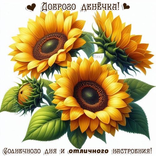 Открытка Добрый день
