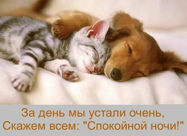 Открытка Спокойной ночи