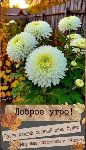 Открытка Доброе утро