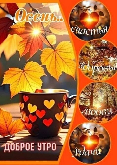 Открытка Доброе утро