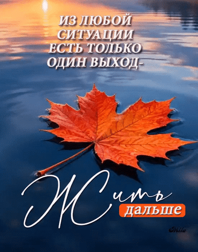 Анимированная открытка Жить дальше