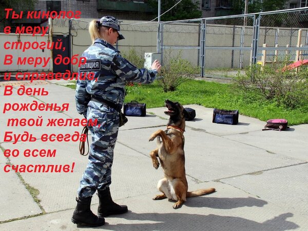 Открытка Ты кинолог в меру строгий, В меру добр и справедлив, В день рожденья твой желаем, Будь всегда во все