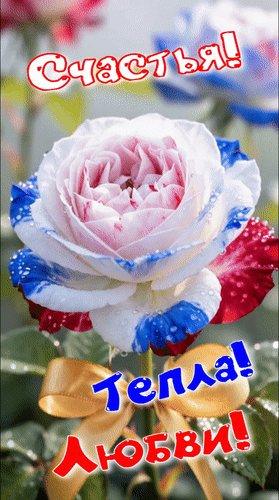 Анимированная открытка Счастья! Тепла! Любви!