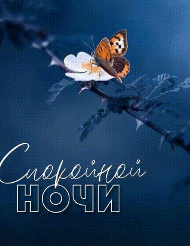 Анимированная открытка Спокойной ночи