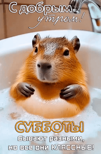 Анимированная открытка С добрым утром! Субботы бывают разными, но все они классные!