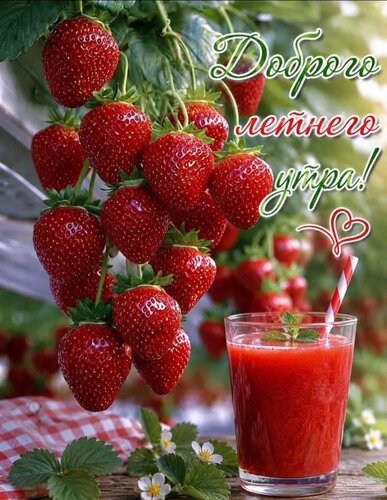 Открытка Доброго летнего утра